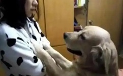 幸福宝APP下载小猪视频